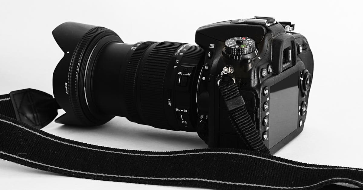 Photographers for a Delaware LLC