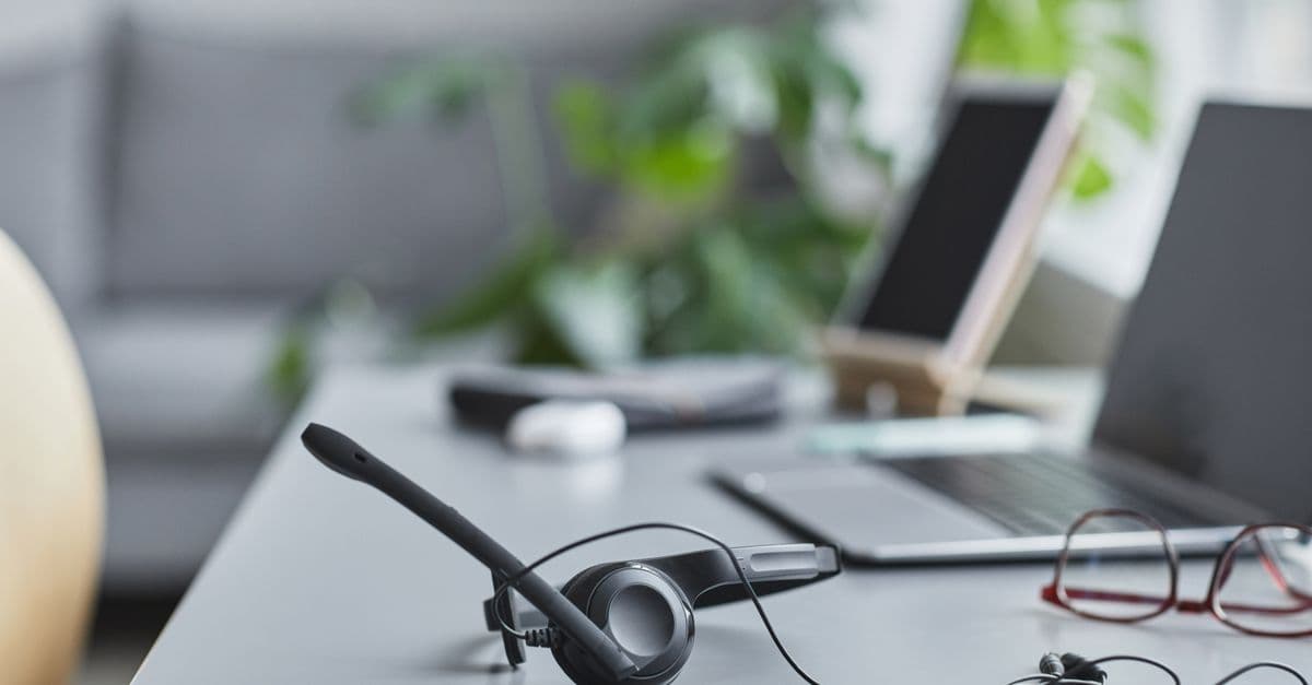 Virtual Assistants for a Delaware LLC